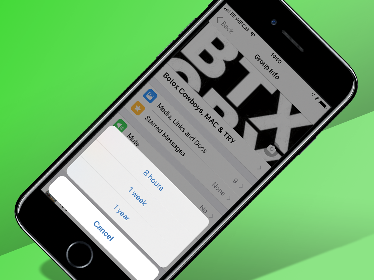 25 best WhatsApp tips: mute groups