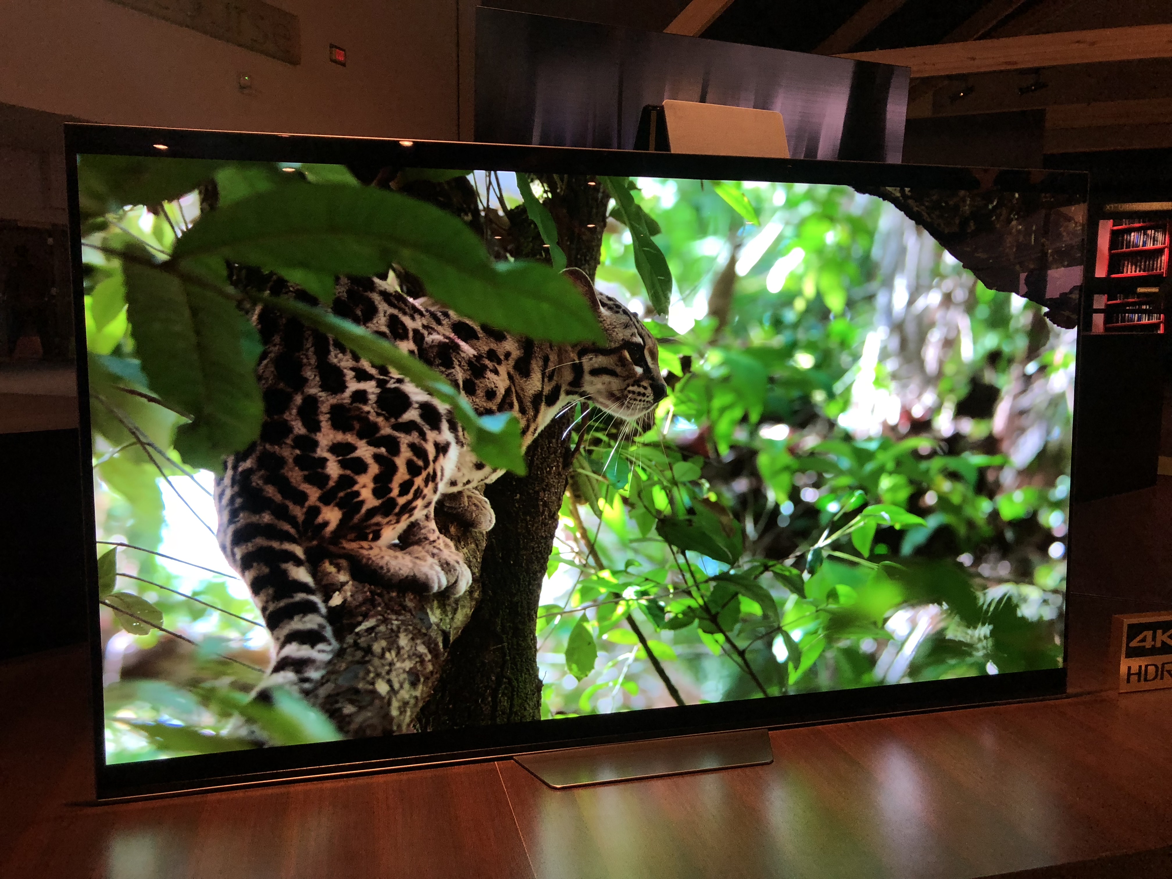 Sony Bravia AF8 first impressions