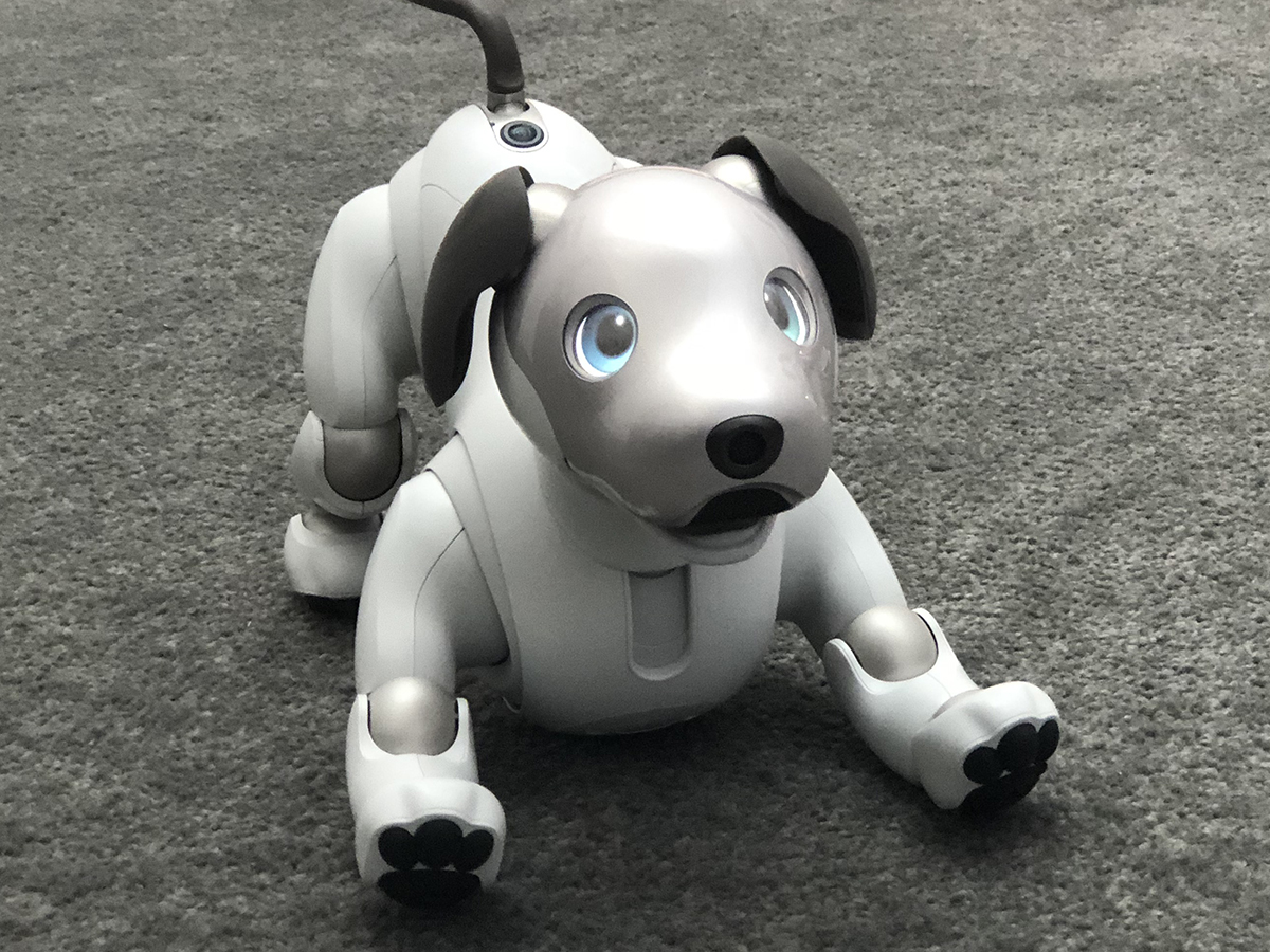 Sony Aibo ERS-1000 first impressions