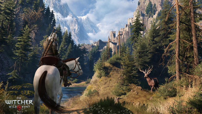 2) The Witcher 3: Wild Hunt (2015)