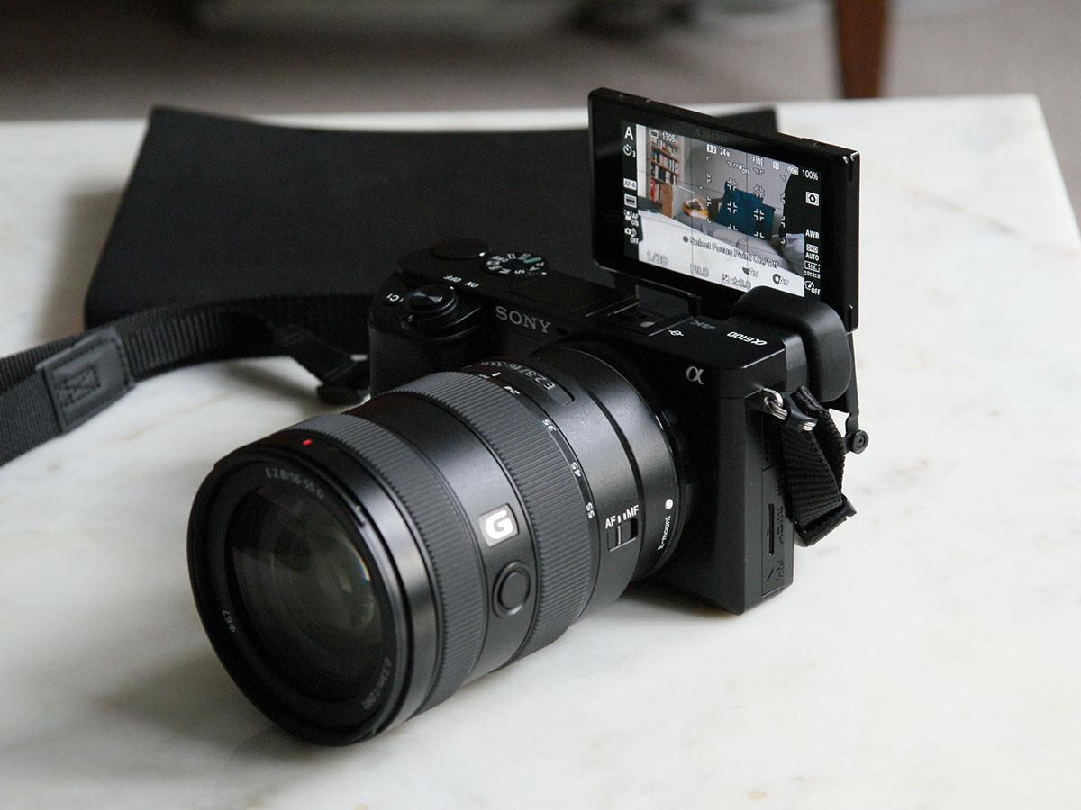 Sony a6100 verdict