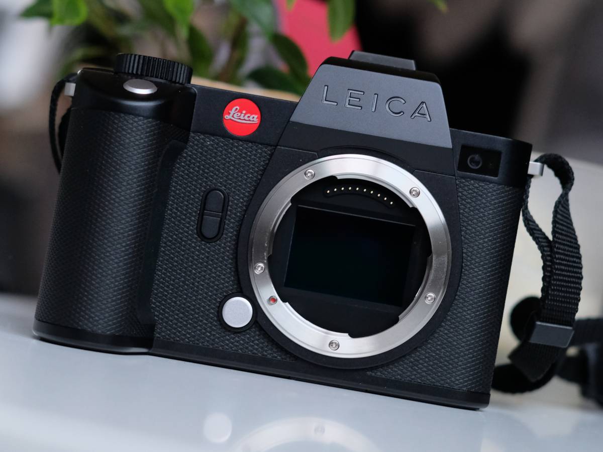 Leica SL2-S verdict 