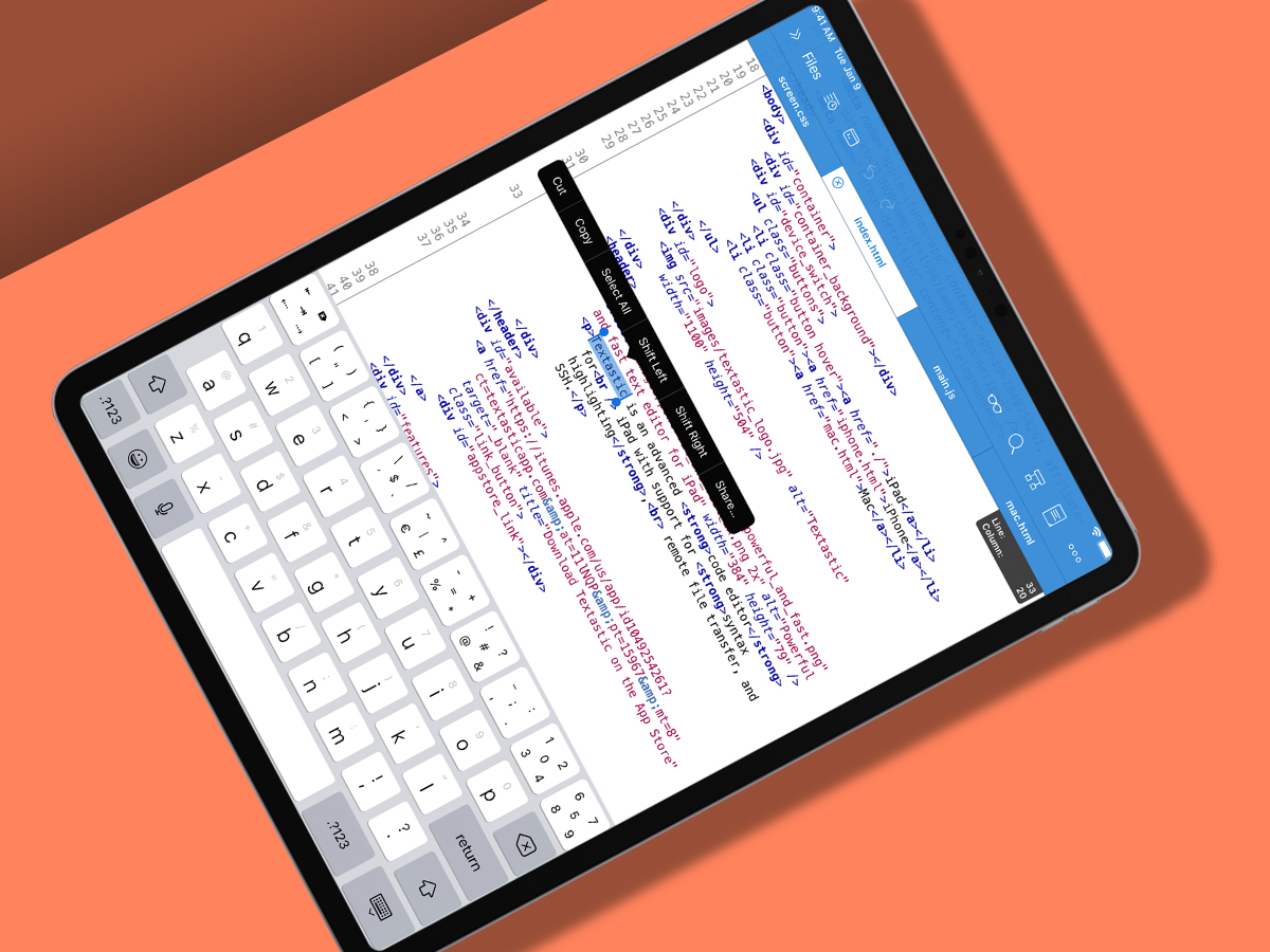 Textastic: Best iPhone/iPad code editor