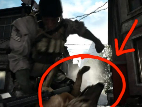 Why does Battlefield 4 hate dogs?