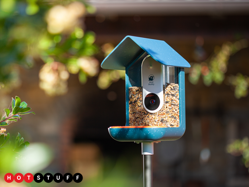 Bird Buddy is like a Ring doorbell for your feathered friends