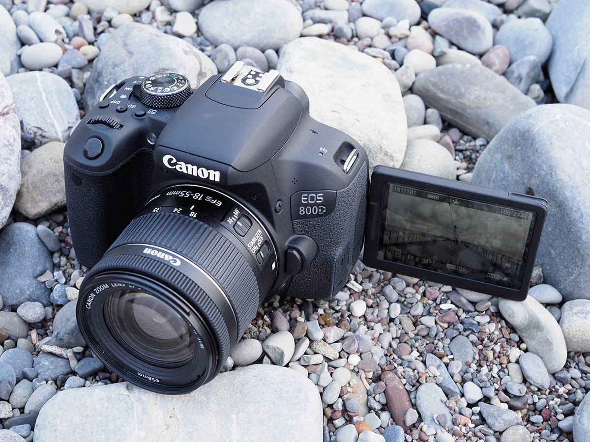 Canon EOS 800D verdict