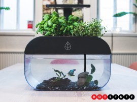 EcoGarden is a smart symbiotic greenhouse and fish tank combo that brings nature to your home