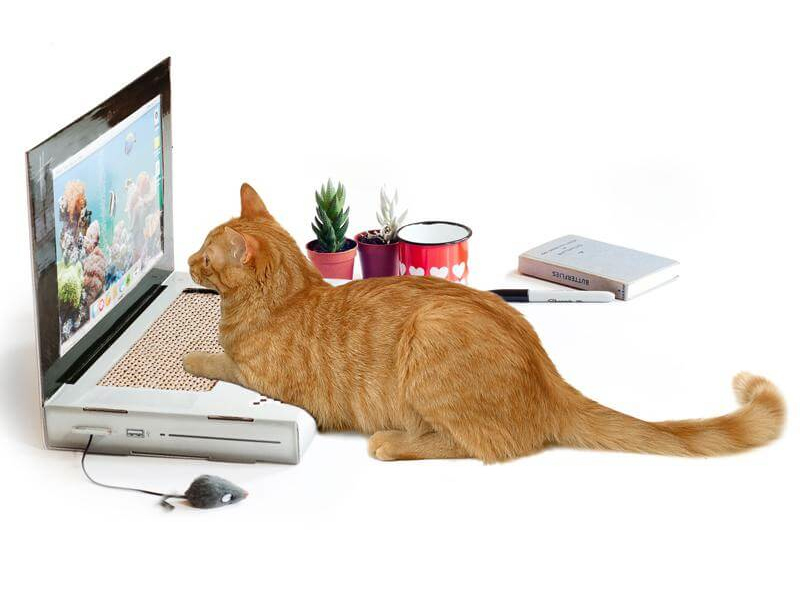Cat Laptop Scratch Pad (£17.99)