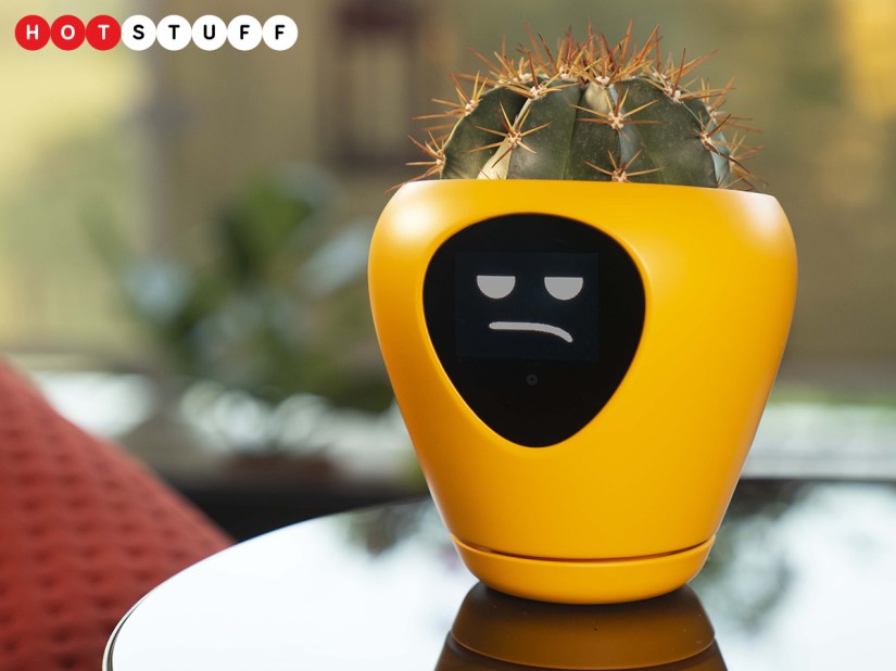 Lua is a smart plant pot that wants to be a virtual pet