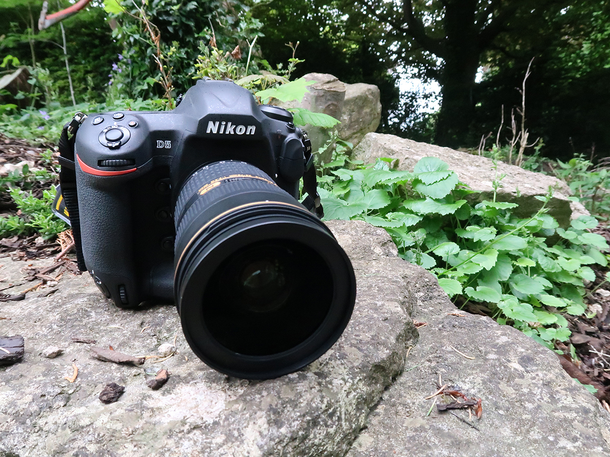 Nikon D5 verdict