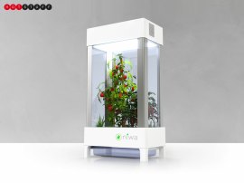 Niwa will let you grow your own at home – using your smartphone