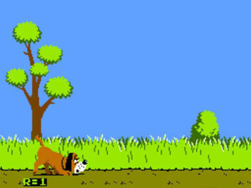 DOG (DUCK HUNT, 1984)