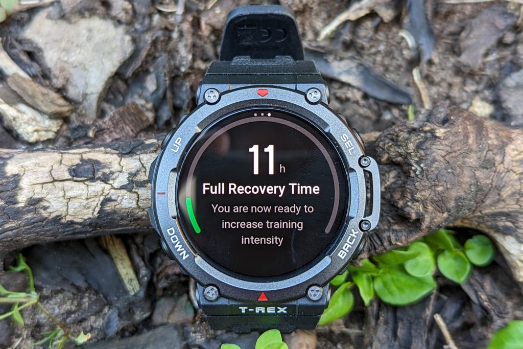 Stuff Amazfit T-Rex 2 review recovery rate