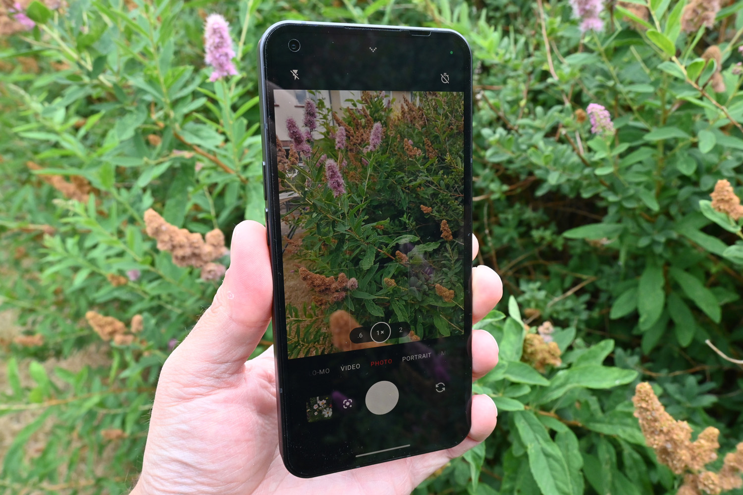 Nothing Phone 1 camera app against bush