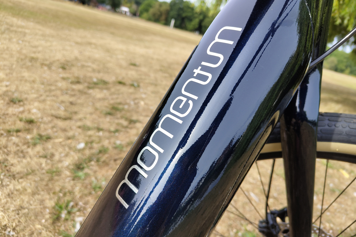 Momentum Transend E+ electric bike review frame brand logo