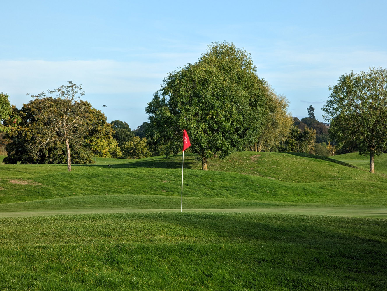 Google Pixel 7 Pro camera samples golf course 5x
