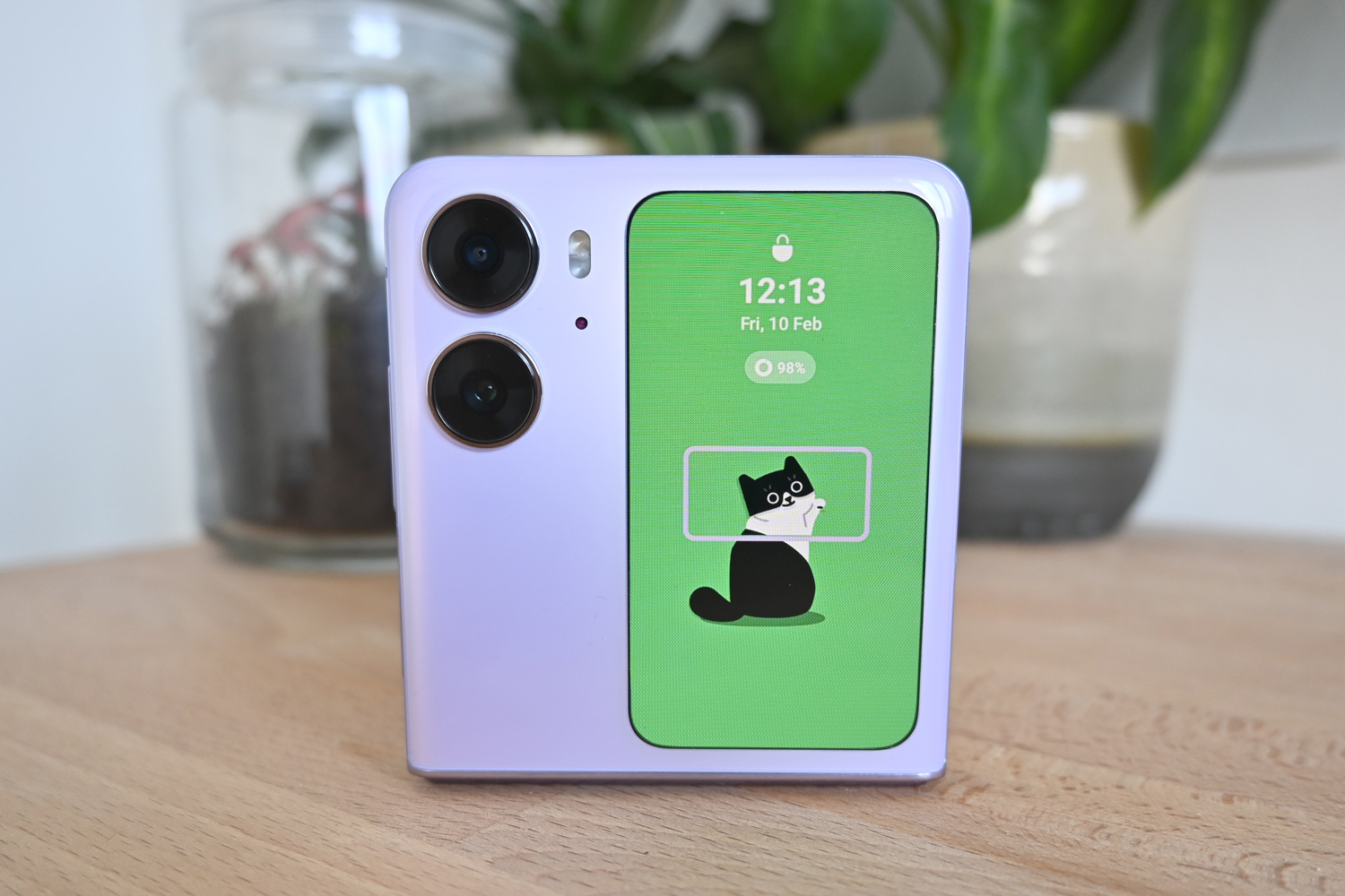 Oppo Find N2 Flip review virtual pets