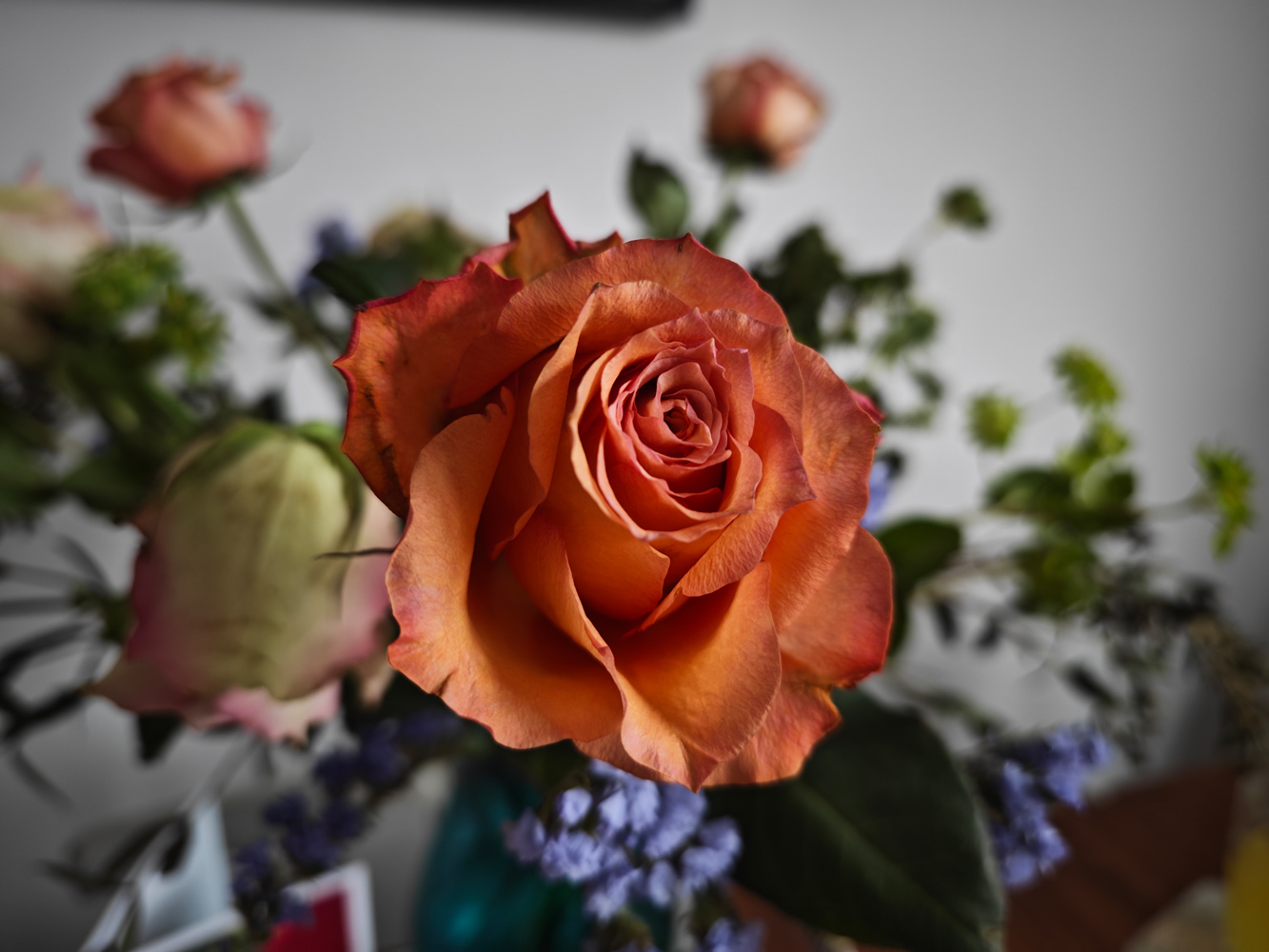Xiaomi 13 Pro camera samples rose closeup