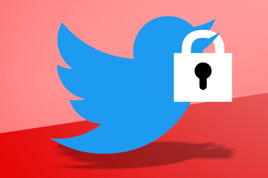 Twitter logo carrying a padlock