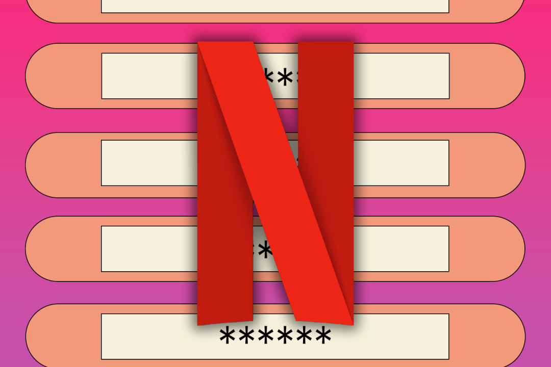 Netflix password sharing