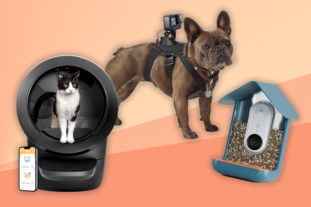 best pet gadgets Header